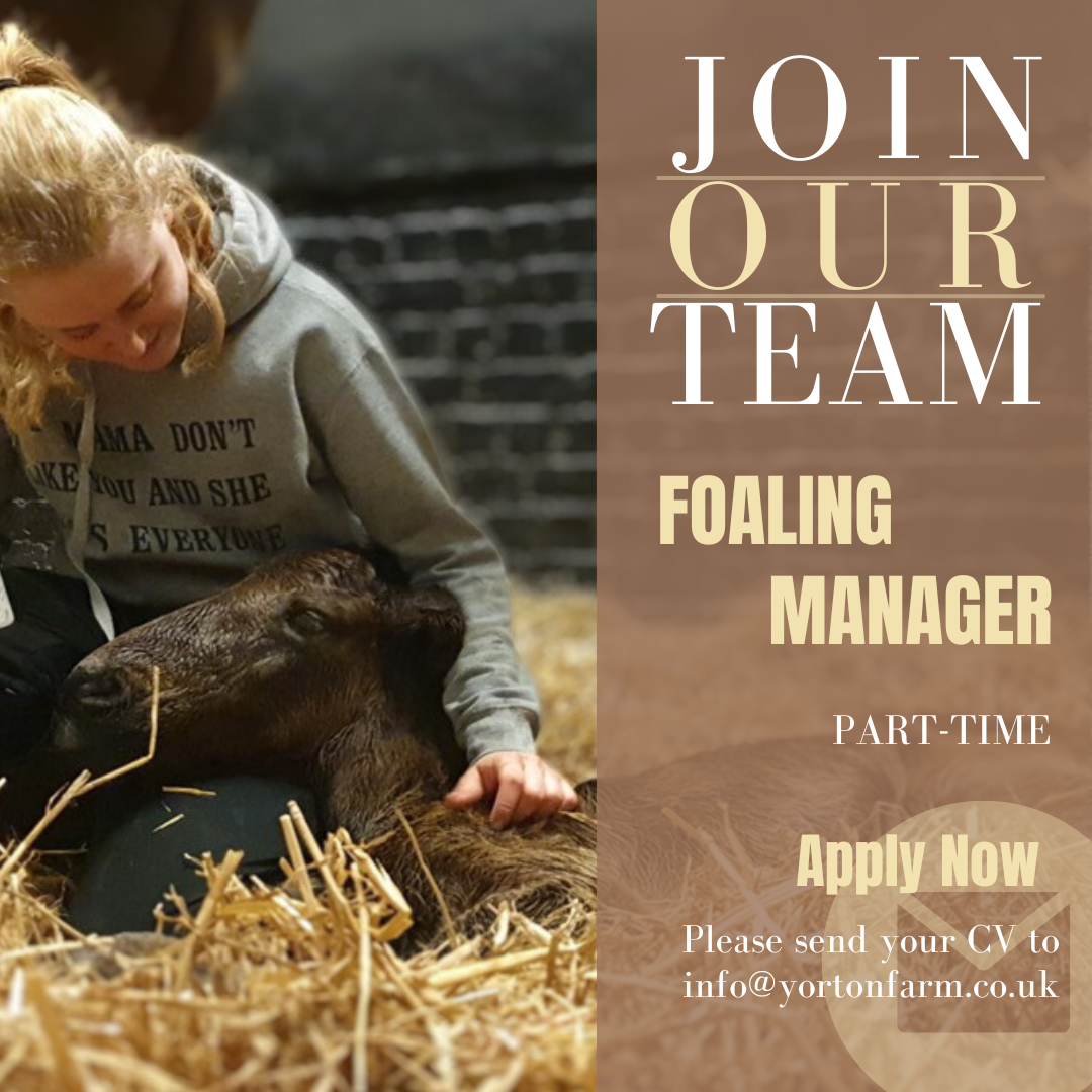 2 20260218 121254 0001