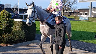 More exciting youngsters & the stud opens its doors!