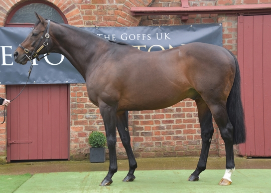 GentlewaveGentlewave (IRE)