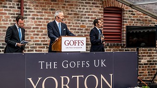 Yorton Sale Report - Carl Evans, EBN 13th Sep 2019
