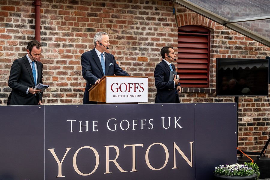 Yorton Sale Report - Carl Evans, EBN 13th Sep 2019
