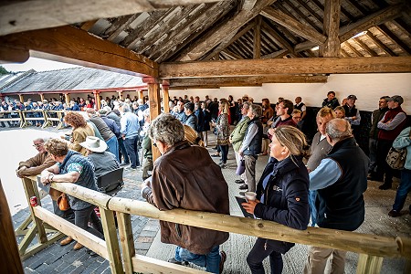 GUK Yorton Sale Sneak Peek 104