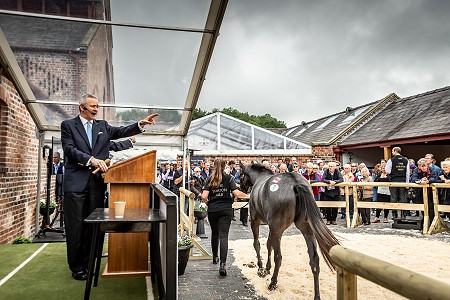 GUK Yorton Sale Sneak Peek 115