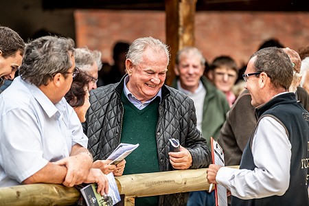 GUK Yorton Sale Sneak Peek 118