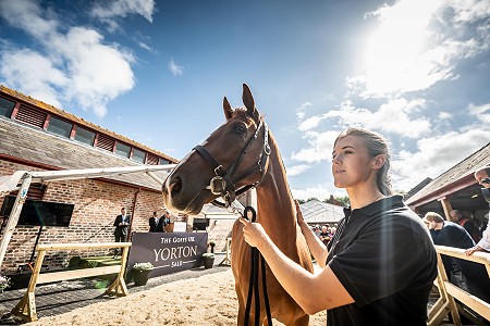 GUK Yorton Sale Sneak Peek 148