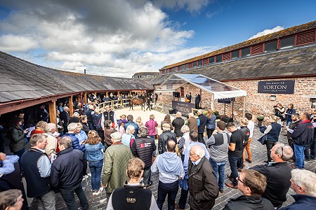 GUK Yorton Sale Sneak Peek 150