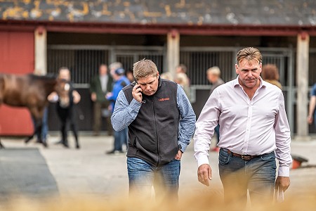 GUK Yorton Sale Sneak Peek 96