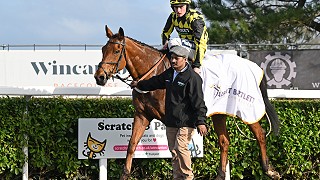 No laughing matter as Postponed hits winning run!