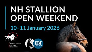 Visit Yorton during the National Hunt Stallion Open Weekend 10 - 11th January 2026