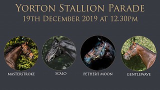 Yorton Stallion and Youngstock Parade - Thursday 19th December