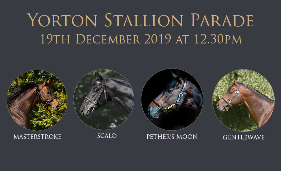 Yorton Stallion and Youngstock Parade - Thursday 19th December