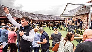 The Owner Breeder share their views on the 2022 Yorton Sale